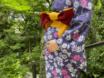 マタニティプラン