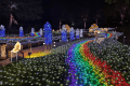 修善寺 虹の郷イルミ the ナイト